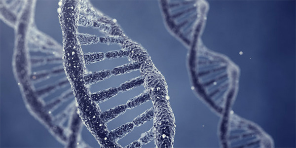 Developing Tools to Explore DNA Methylation