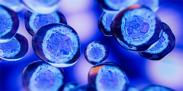 Protein Implicated as Driver of Lung Cancer