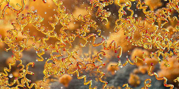 Post-Treatment Lyme Disease Syndrome May Be Driven by Remnants of Infection