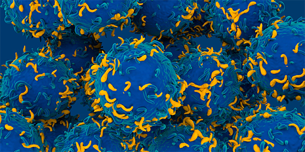 Discovering New Ways to Recharge T-Cells Fighting Cancer