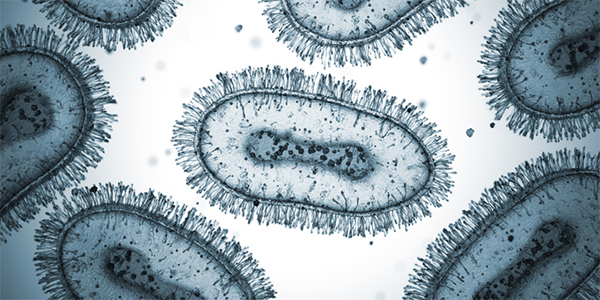 Uncovering How Poxvirus Hijacks Host Proteins to Spread