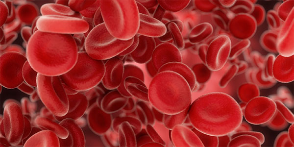 New Targets for Treating Blood Disorders