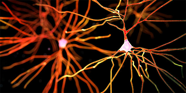 AI Imaging Approach May Help Identify Parkinson’s Sooner