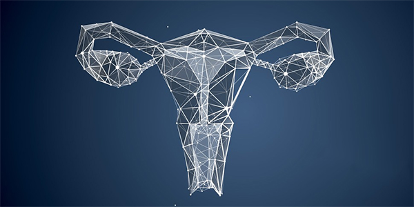 New Molecular Mechanisms of Ovarian Aging Discovered 