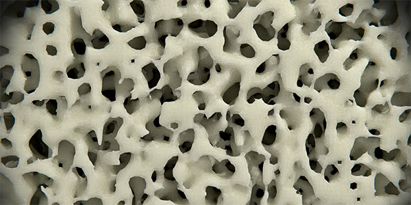 Unlocking New Methods for Bone Regeneration