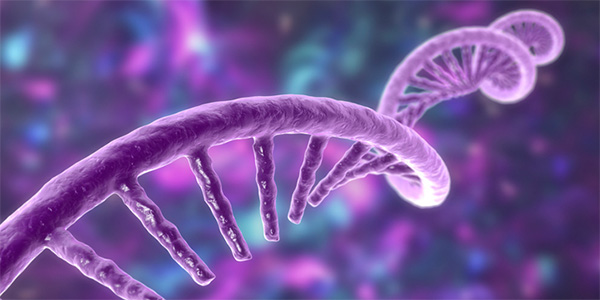 Exploring the Role of Non-Coding RNA in Gene Regulation