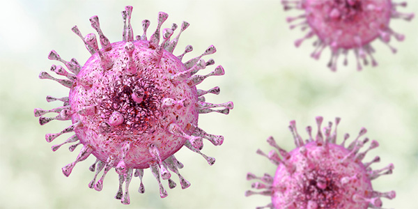 Understanding How a Common Virus Manipulates Host DNA