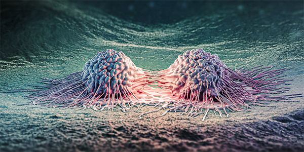 Uncovering New Therapeutic Targets for Cancer Mutations