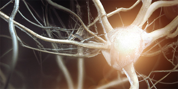 Targeting Aberrant Learning May Improve Parkinson’s Treatment