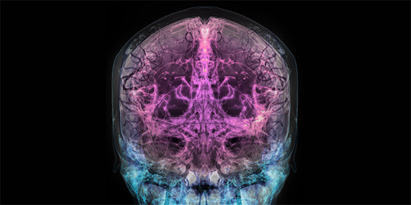 New Institute Envisions a Future Where Our Brains Last as Long as Our Bodies