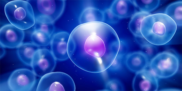 Study Identifies New Molecular Mechanisms Supporting Cell Adhesion 