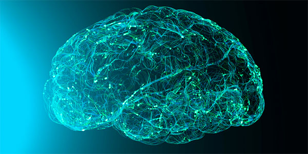 Uncovering Cellular Drivers of Increased Brain Signal Activity