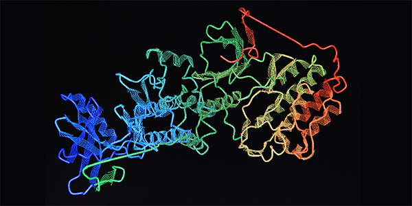 New Experimental Method Reveals Protein Energy Landscapes on Larger Scale