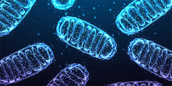 Exploring Intracellular Communication to Understand Neurodegeneration