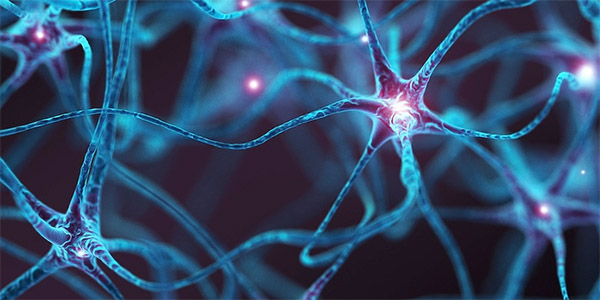 Parkinson’s Gene Linked to Early Dysfunction in Brain Cells
