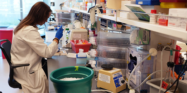 Northwestern Medicine Study Reveals Hidden Immune Environment in Myasthenia Gravis Patients