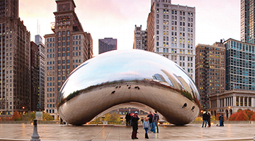 image of the bean