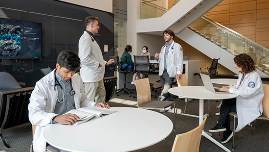 MD students working and conversing