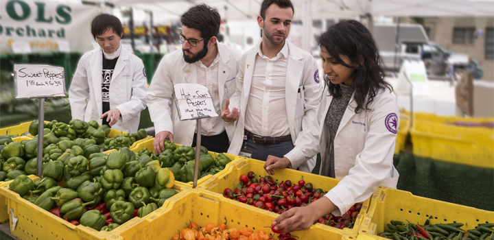 MD students at the farmers market