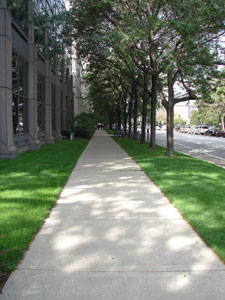 Sidewalk