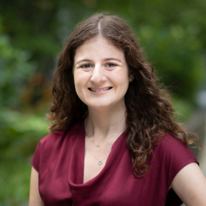 ${image.getChild('description').value}