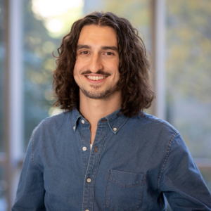 ${image.getChild('description').value}