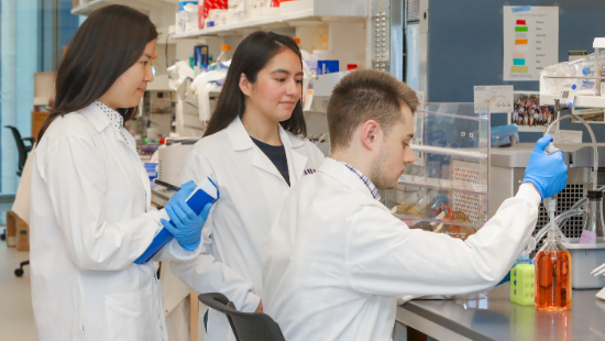 Two students observe another student using a pipette