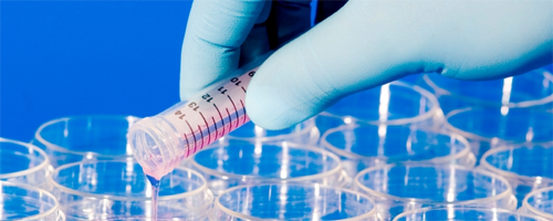 Research help