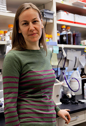 Eva Gottwein PhD