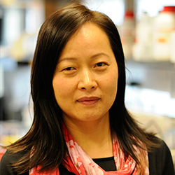 Jindan Yu, MD, PhD