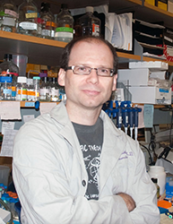 Christian Stehlik, PhD