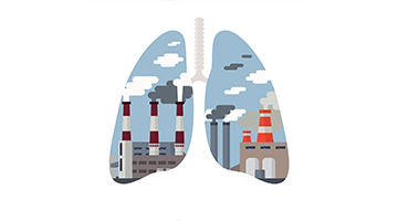 Lungs