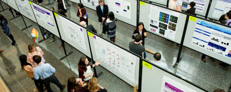 scientists present their posters at Research Day