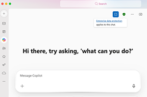 copilotscreenshot