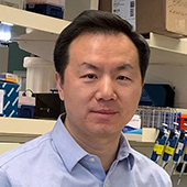 Feng Yue Inducted into the 2025 Class of the AIMBE College of Fellows 