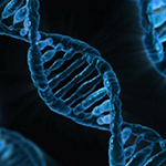 Developing Tools to Explore DNA Methylation