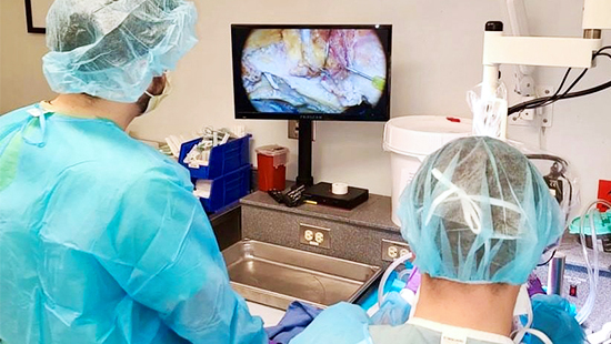 Two investigators wearing personal protective equipment look at a dissected brain sample on a screen