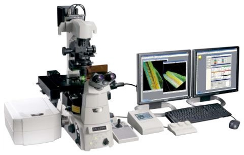 nikon_a1_confocal.jpg