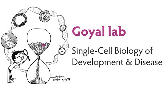 The Gyal  Lab