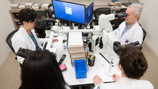 Lab members sit around a table, looking through microscopes. 
