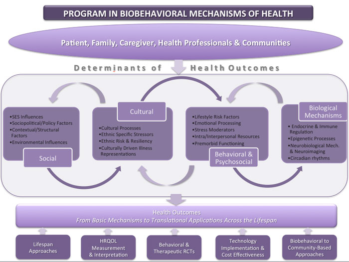 Chart describing the program