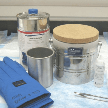 Tissue Freezing Methods