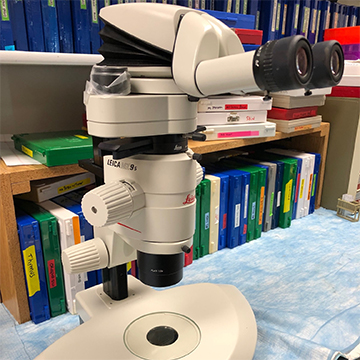 Leica MZ95 Stereomicroscope