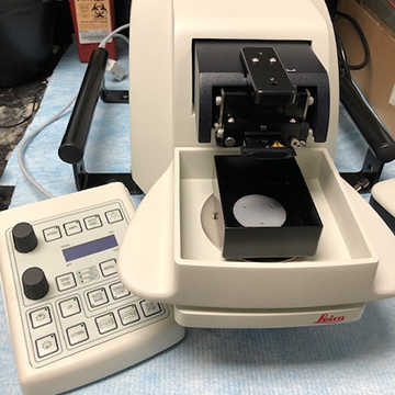 Leica VT1200S Vibratome