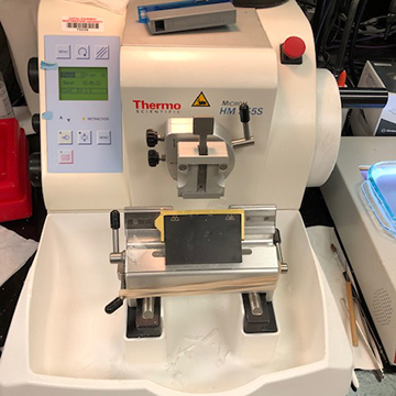 Microm HM355S Microtome