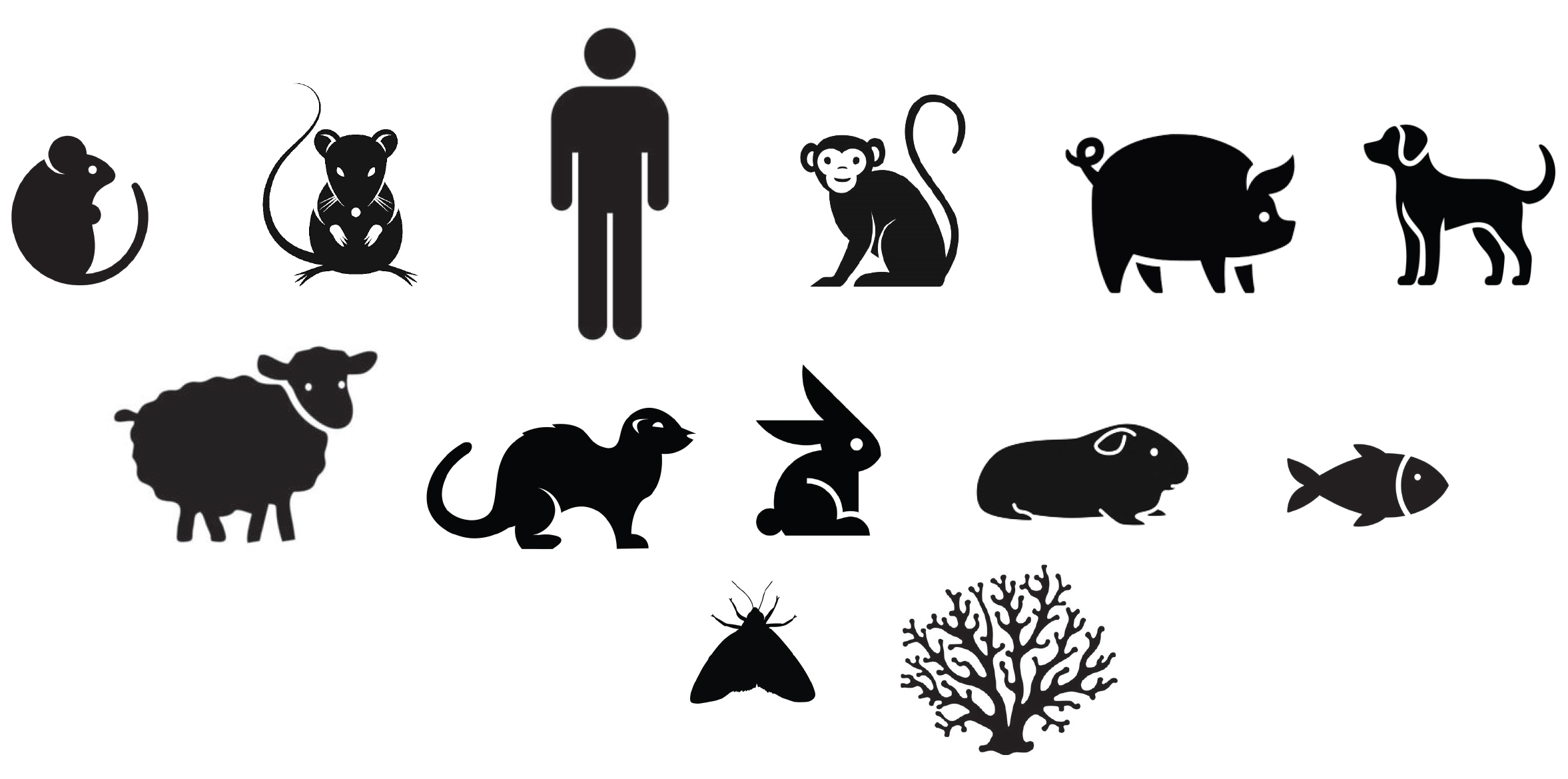 Specimens species range