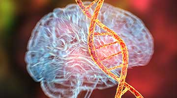 Illustration of the brain and DNA representing neurodegenerative diseases