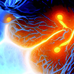 Resilience and Research: The Edwards Family’s Gift to Parkinson’s Science
