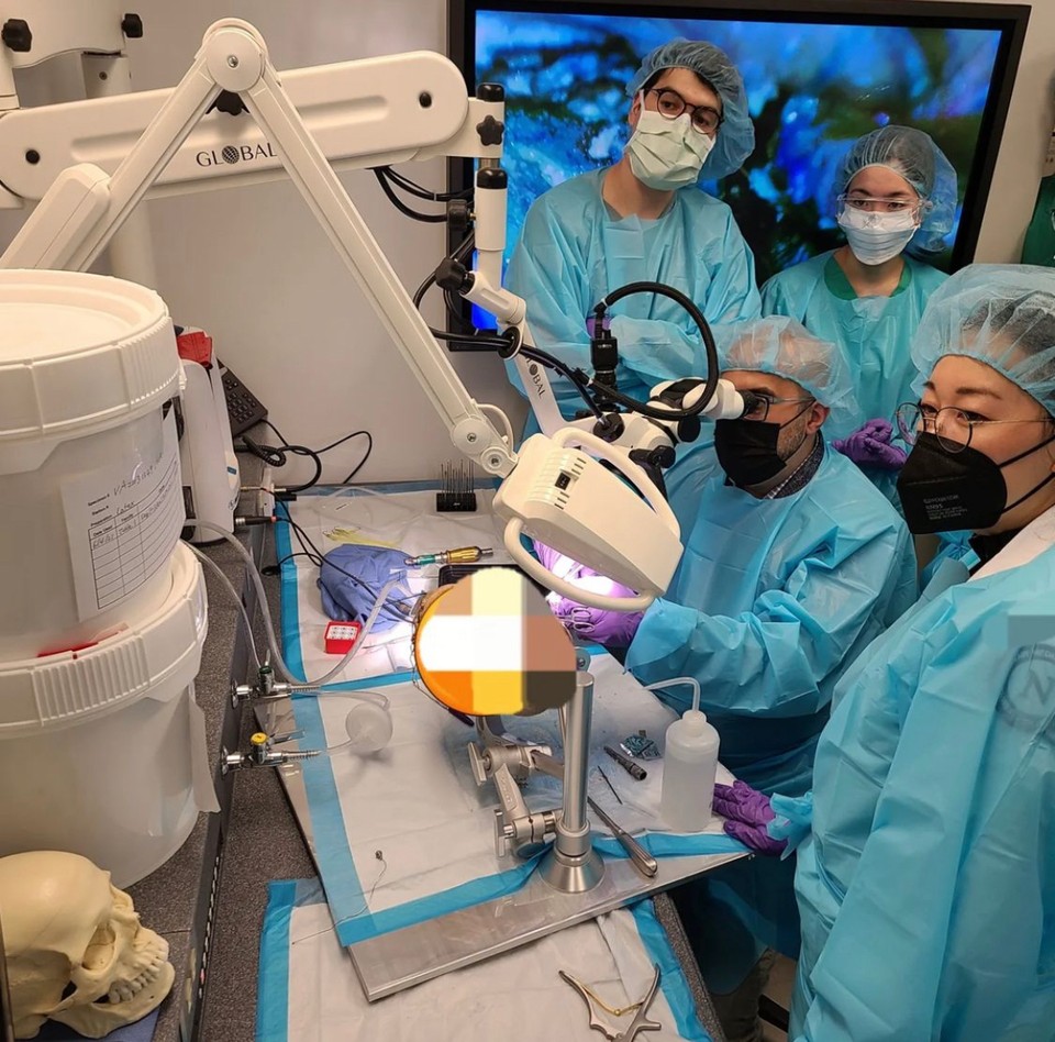 Northwestern Skull Base Lab Advanced Training Program 