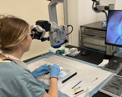 Microsurgical Training Lab